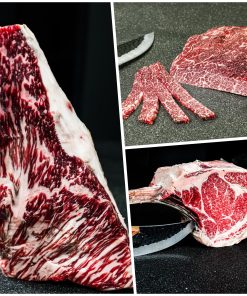 הסדרה הכחולה 💎 מחירון